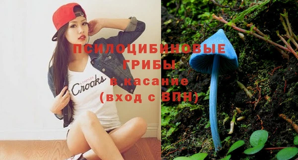 spice Абинск