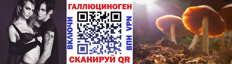 Псилоцибиновые грибы мицелий  Димитровград 