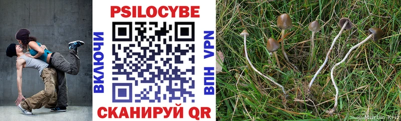 Галлюциногенные грибы Cubensis Димитровград